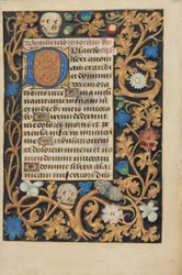 Decorated Initial D